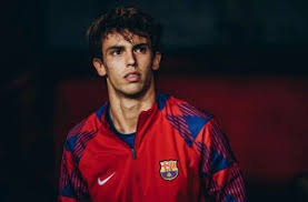 英超半场：沃尔特马德挑射破门，纽卡暂3-0埃弗顿